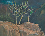 Lente Tenerife II, Olieverf, 57.5x71cm