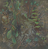 Barranco, Olieverf, 88x88cm