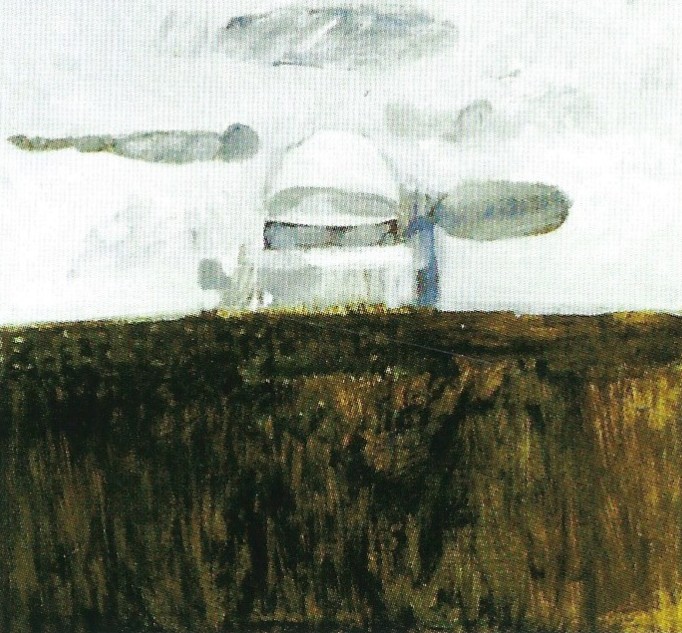 Co Westerik, landschapsstudie begraafplaats